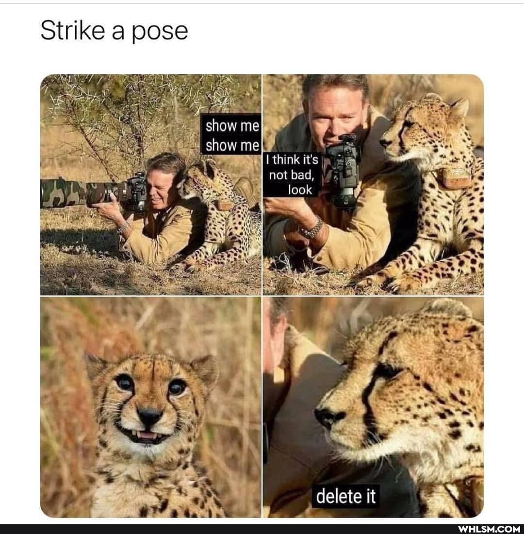 Strike a pose
I think it's
not bad, look
ti