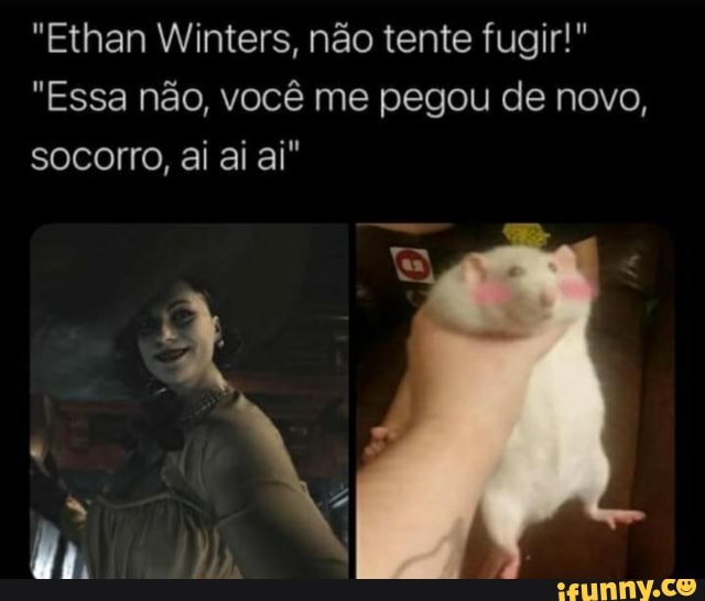 "Ethan Winters, não tente fugir!
"Essa não, você me pegou de novo, socorro, ai ai ai"
