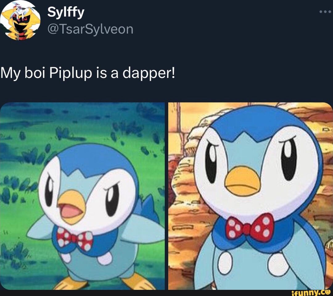 Piplup Memes Best Collection Of Funny Piplup Pictures On Ifunny