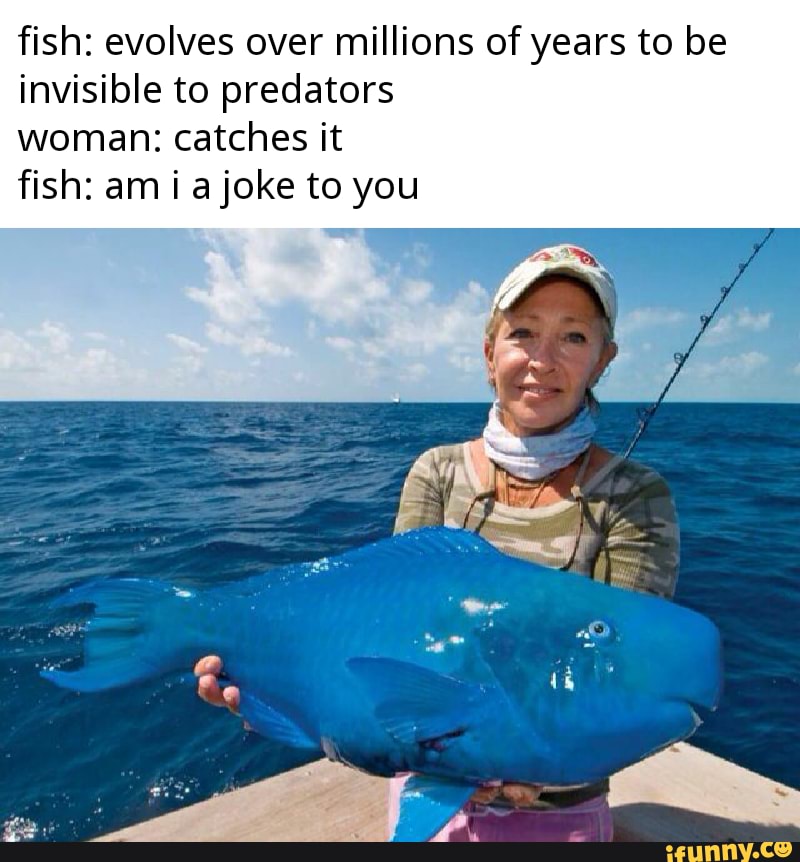 fish: evolves over millions of years to be
invisible to predators
woman: catches it
fish: am i a joke to you