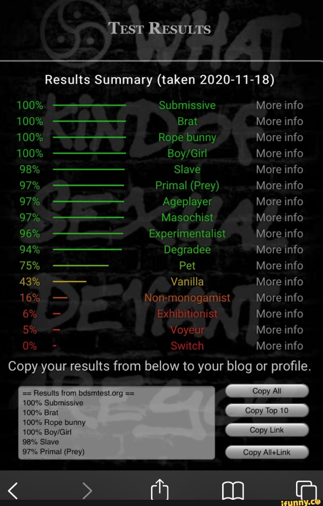 Test RESULTS Results Summary (taken 2020-11-18) 100% Submissive More