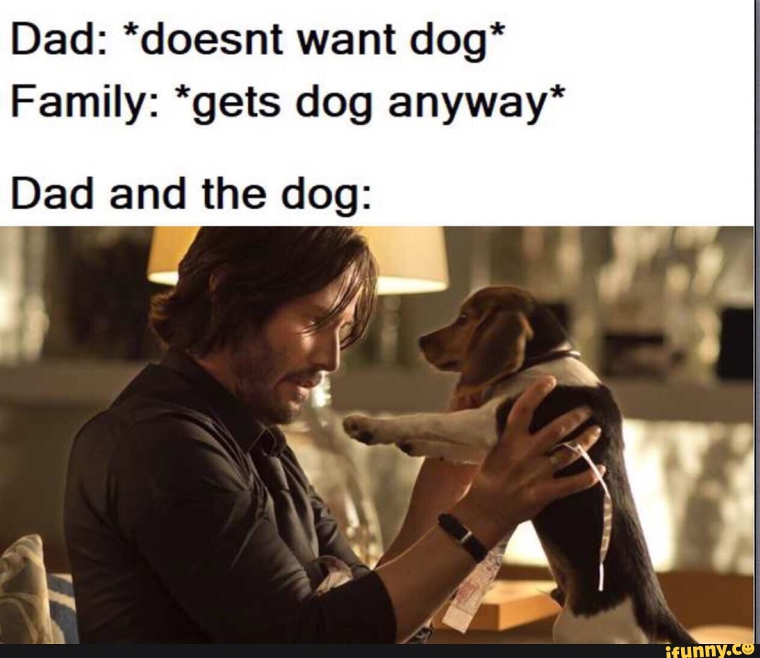 Dad: *doesnt want dog* Family: *gets dog anyway* Dad and the dog: - )