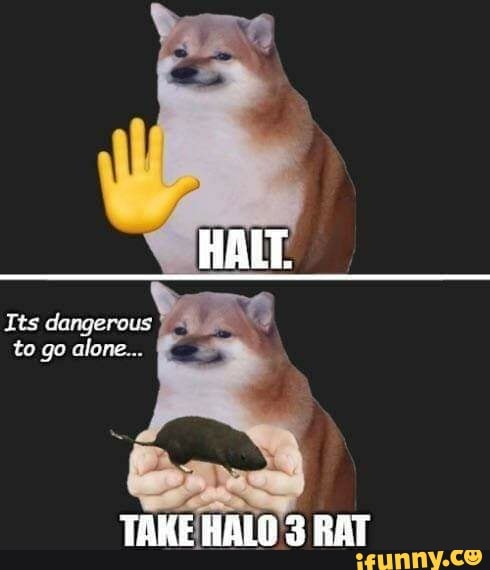 HALT.
Tts dangerous to go lone.
TAKE HAL 3 RAT