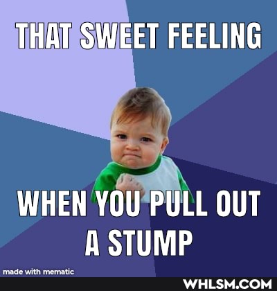 THAT SWEET FEELING
WHEN YOU PULL OUT A STUMP