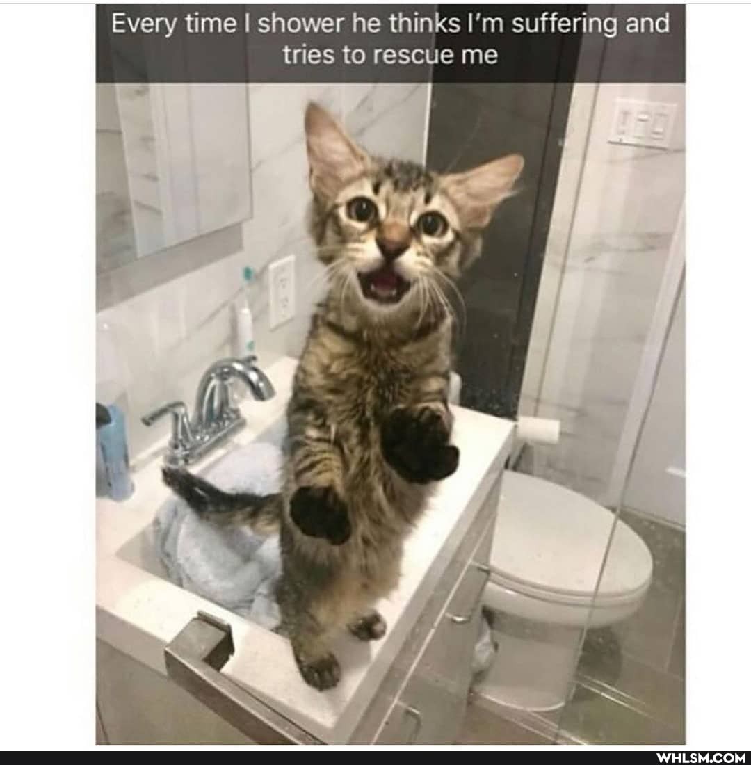 Every time I shower he thinks I'm suffering and tries to rescue me
