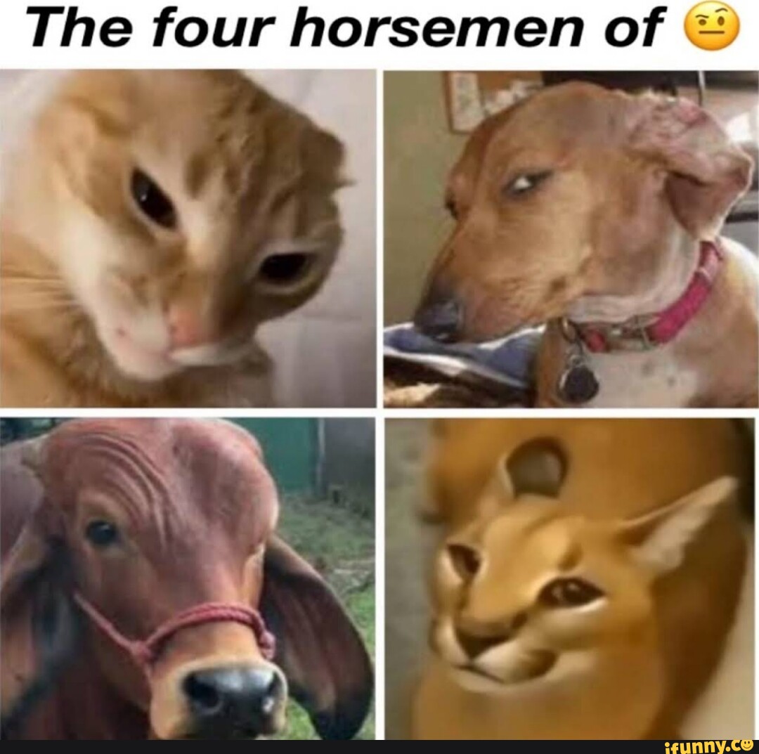 The Four Horsemen Of Ifunny