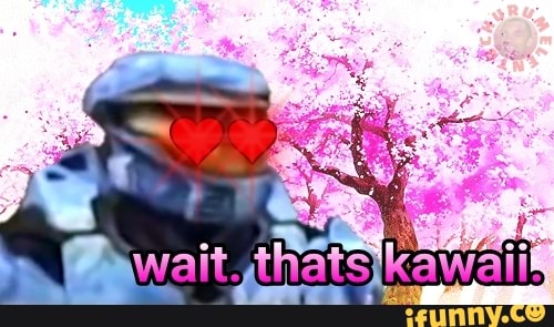 kawaii, waitthatsillegal, halo, memeparacomentarios, fofo