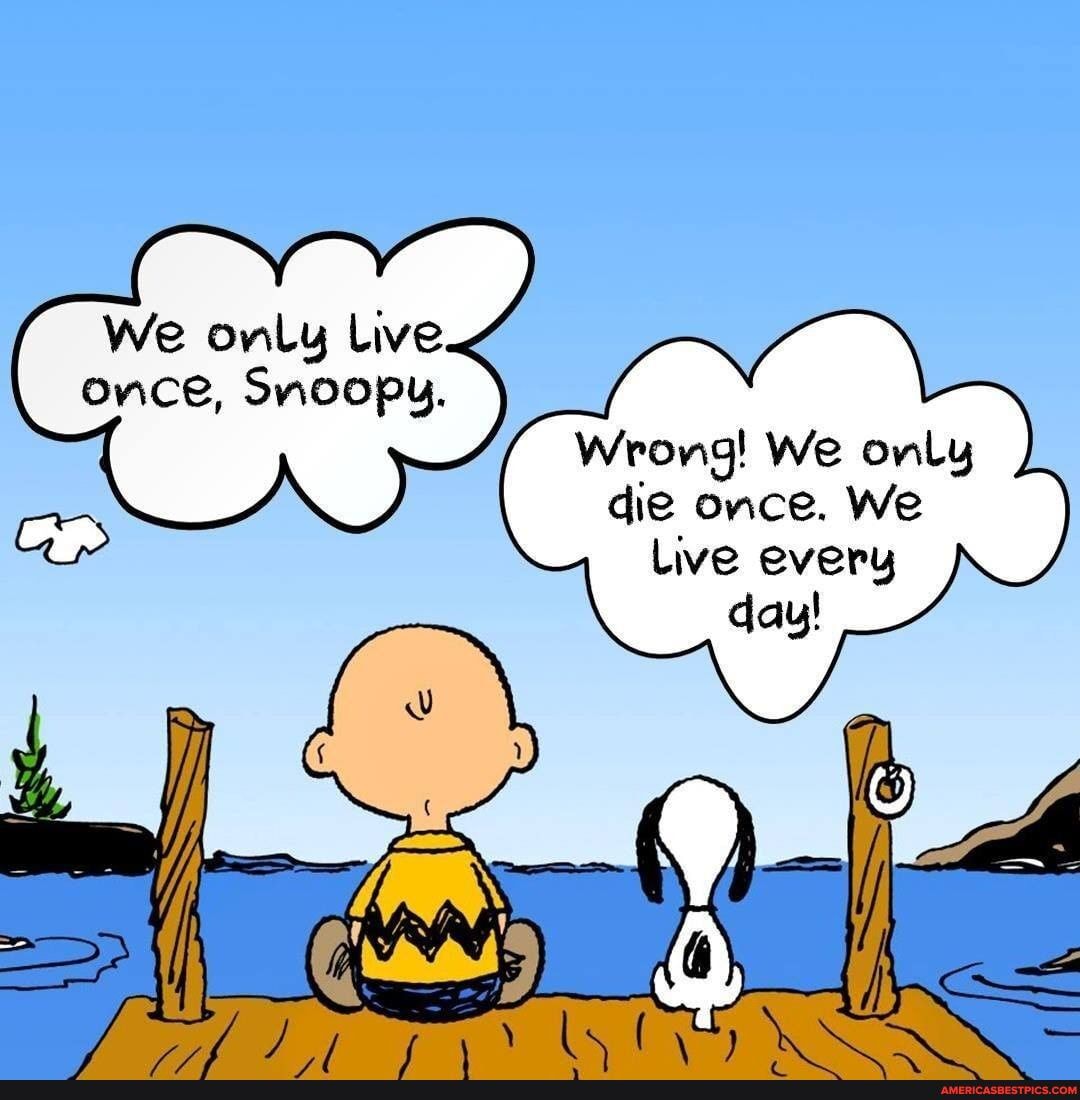 Wrong! We only die once. We )
dau!