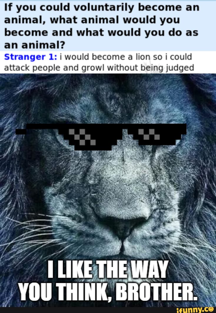 If you could voluntarily an animal, what animal would you