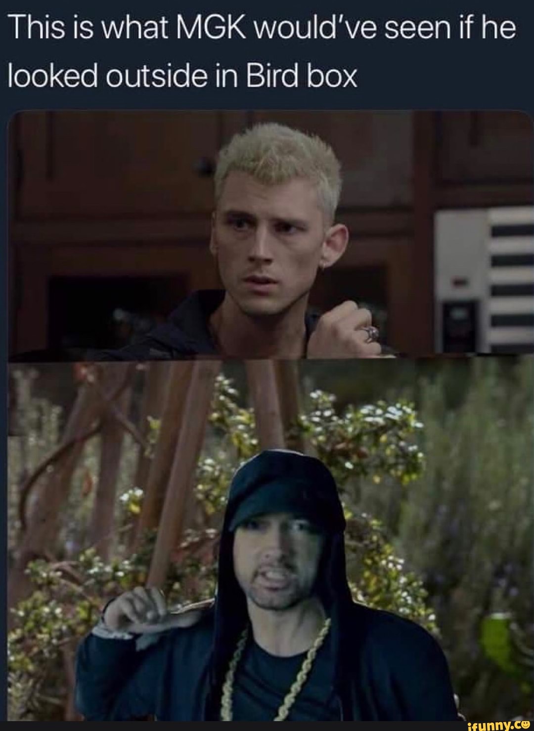 This is what MGK would’ve seen if he looked outside in Bird box - iFunny