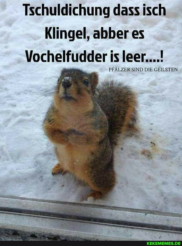 Tschuldichung dass isch
Klingel, aber es
Vochelfudder is leer....!
PFÄLZER SIND DIE GEILSTEN