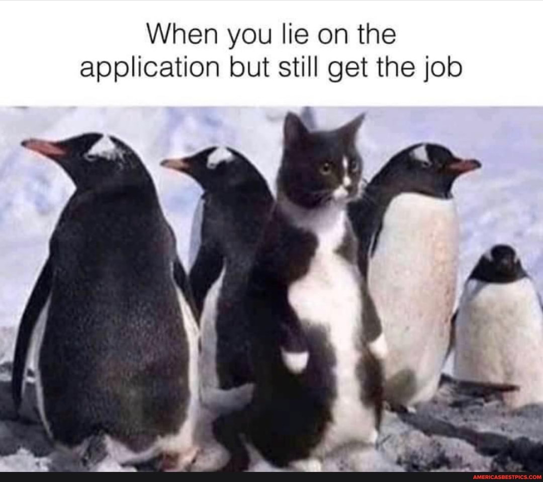 When you lie on the
application but still get the job