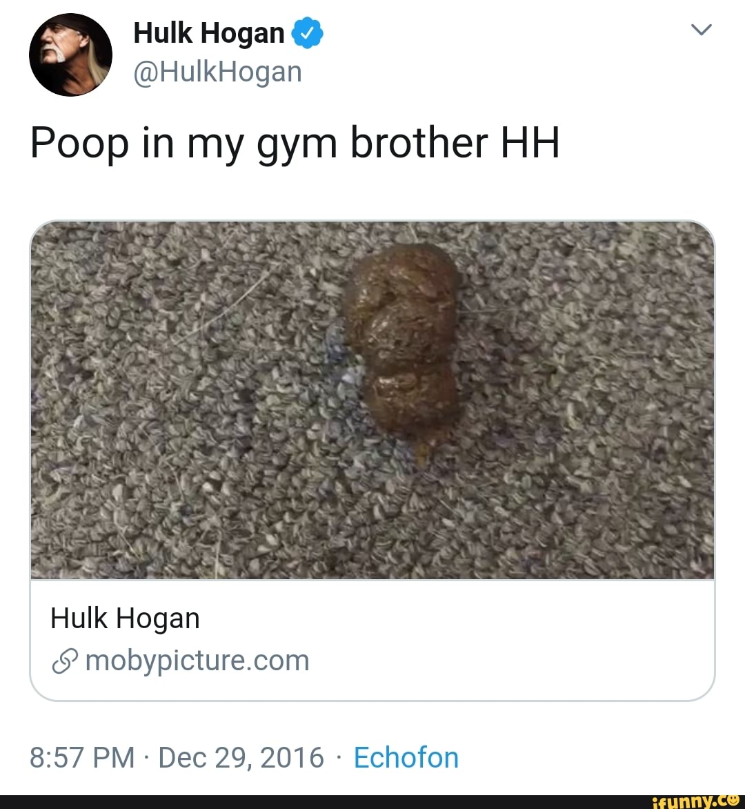 Hulk hogan discount poop brother