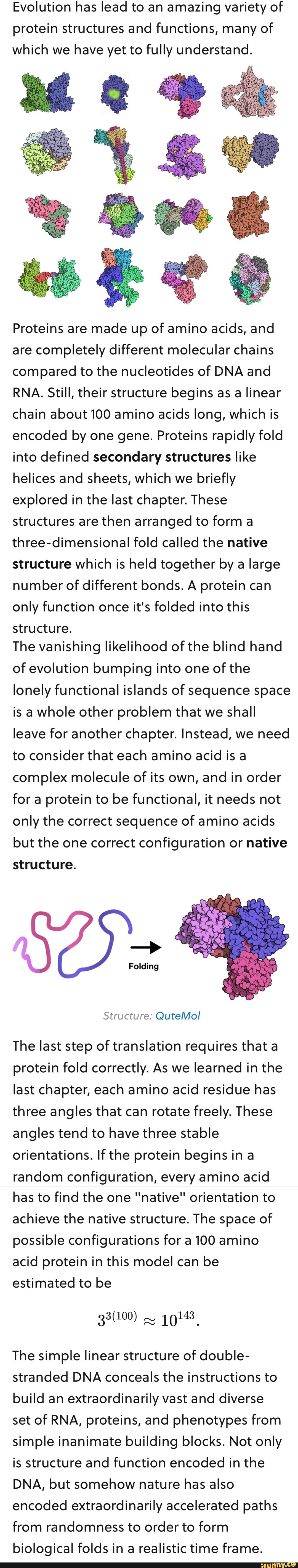 evolution-has-lead-to-an-amazing-variety-of-protein-structures-and