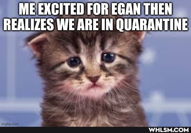 ME EXCITED FOR EGAN THEN REALIZES WE ARE IN QUARANTINE