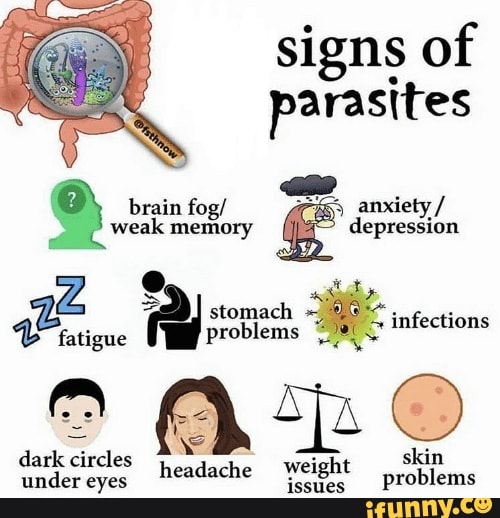 Signs of parasites brain fog/ anxiety / weak memory depression stomacl
