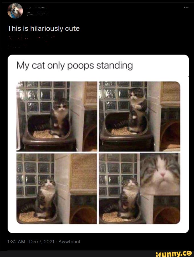 That face! This is hilariously cute My cat only poops standing