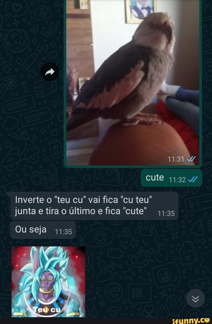 cute
Inverte o "teu cu" vai fica "cu teu" junta e tira o último e fica "cute"
Ou seja