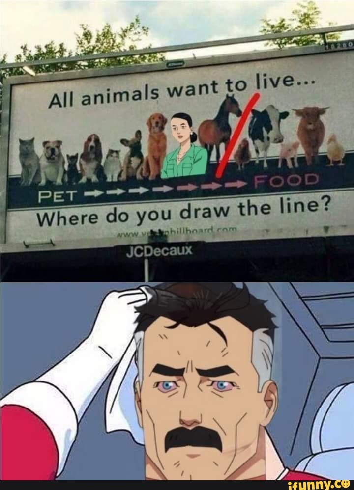 want to live---
All animals
PET
Where do you draw he line?
shillbonrdicam