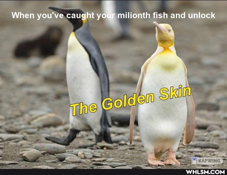 When you've caught your milionth fish and unlock