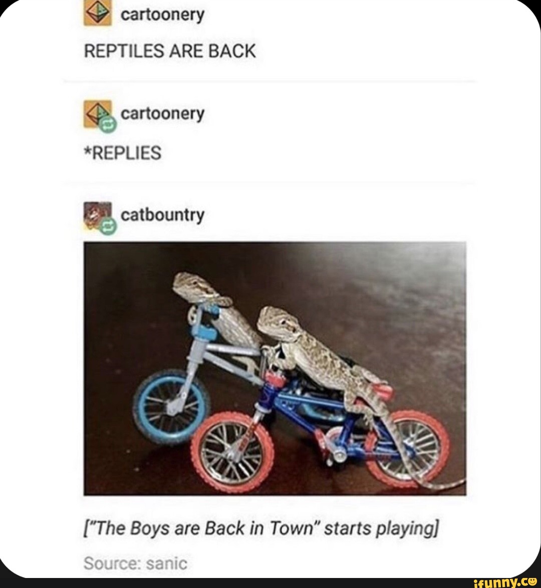 Town Bicycle memes