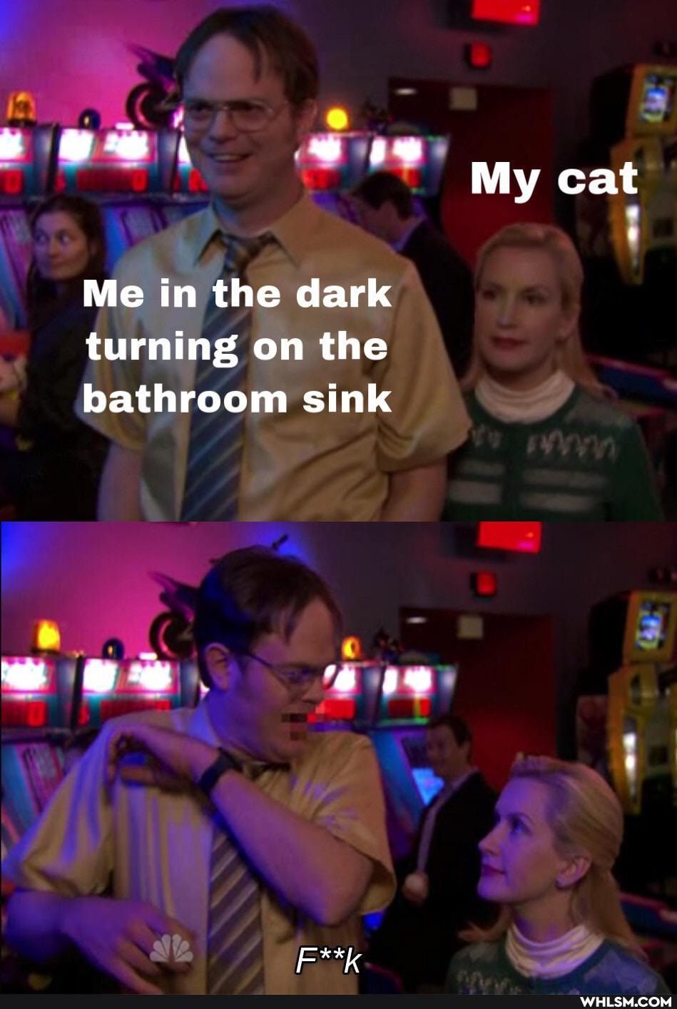 My cat
Me in the dark turning on the bathroom sink
F**k