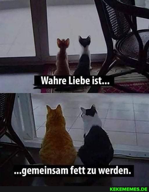 Wahre Liebe ist...
.gemeinsam fett zu werden.