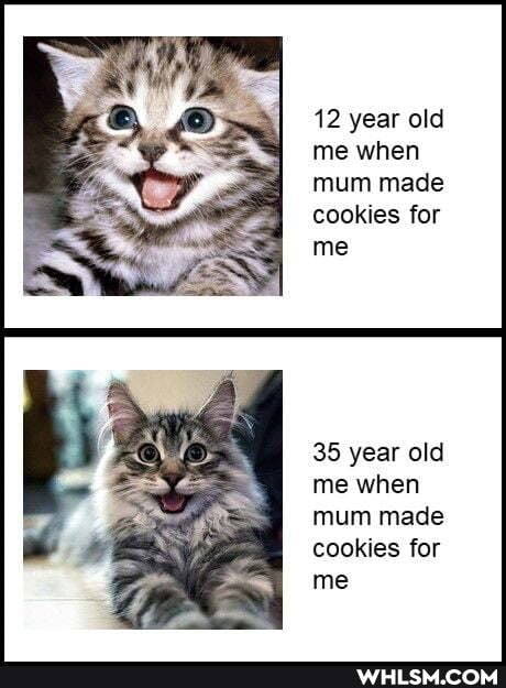12 year old me when
mum made cookies for me
35 year old me when mum made cookies for me