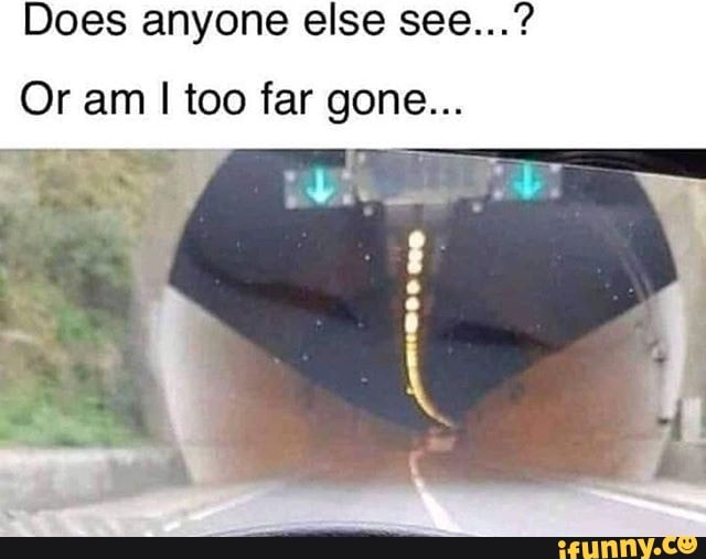 Does anyone else see...?
Or am too far gone...