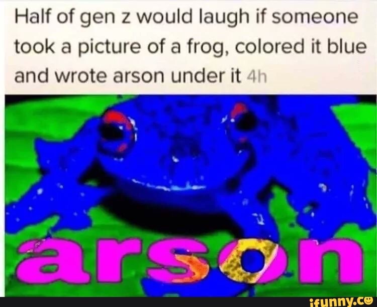 Half Of Gen Z Would Laugh If Someone Took A Picture Of A Frog, Colored ...