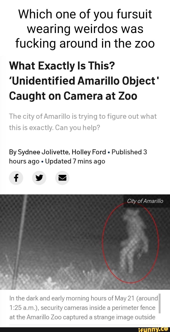Which One Of You Fursuit Wearing Weirdos Was Fucking Around In The Zoo Which One Of You Fursuit Wearing Weirdos Was Fucking Around In The Zoo