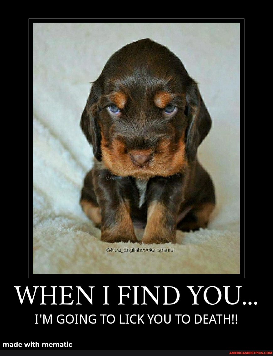 WHEN I FIND YOU...
I'M GOING TO LICK YOU TO DEATH!!