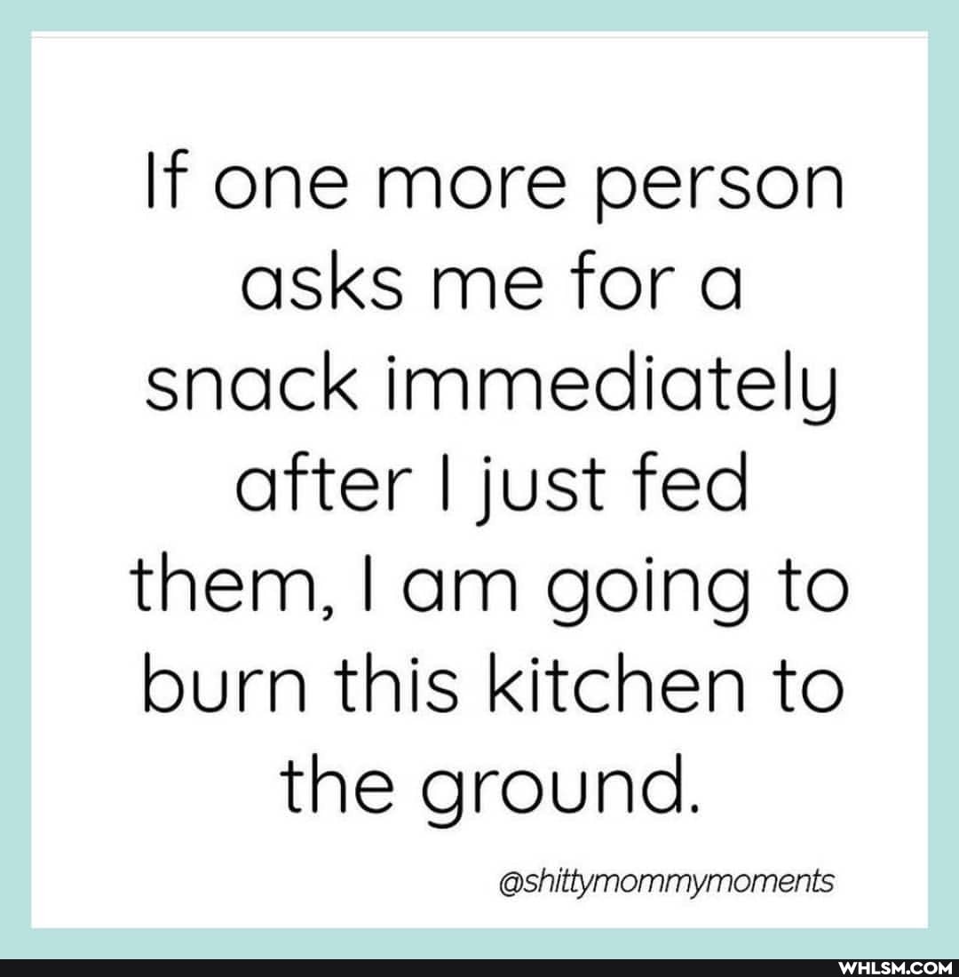 If one more person asks me for a snack immediately after I just fed them, I am going to burn this kitchen to the ground.
@shittymommymoments