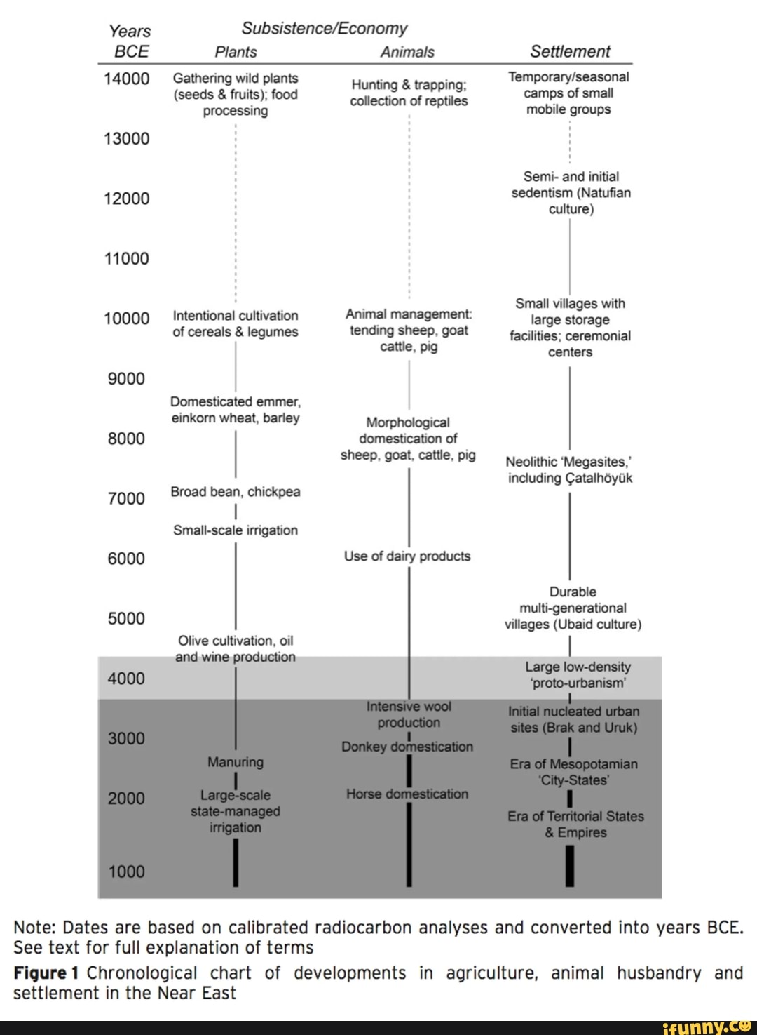 Full Explanation Of Terms Fiqurei Chronological Chart Of Developments 