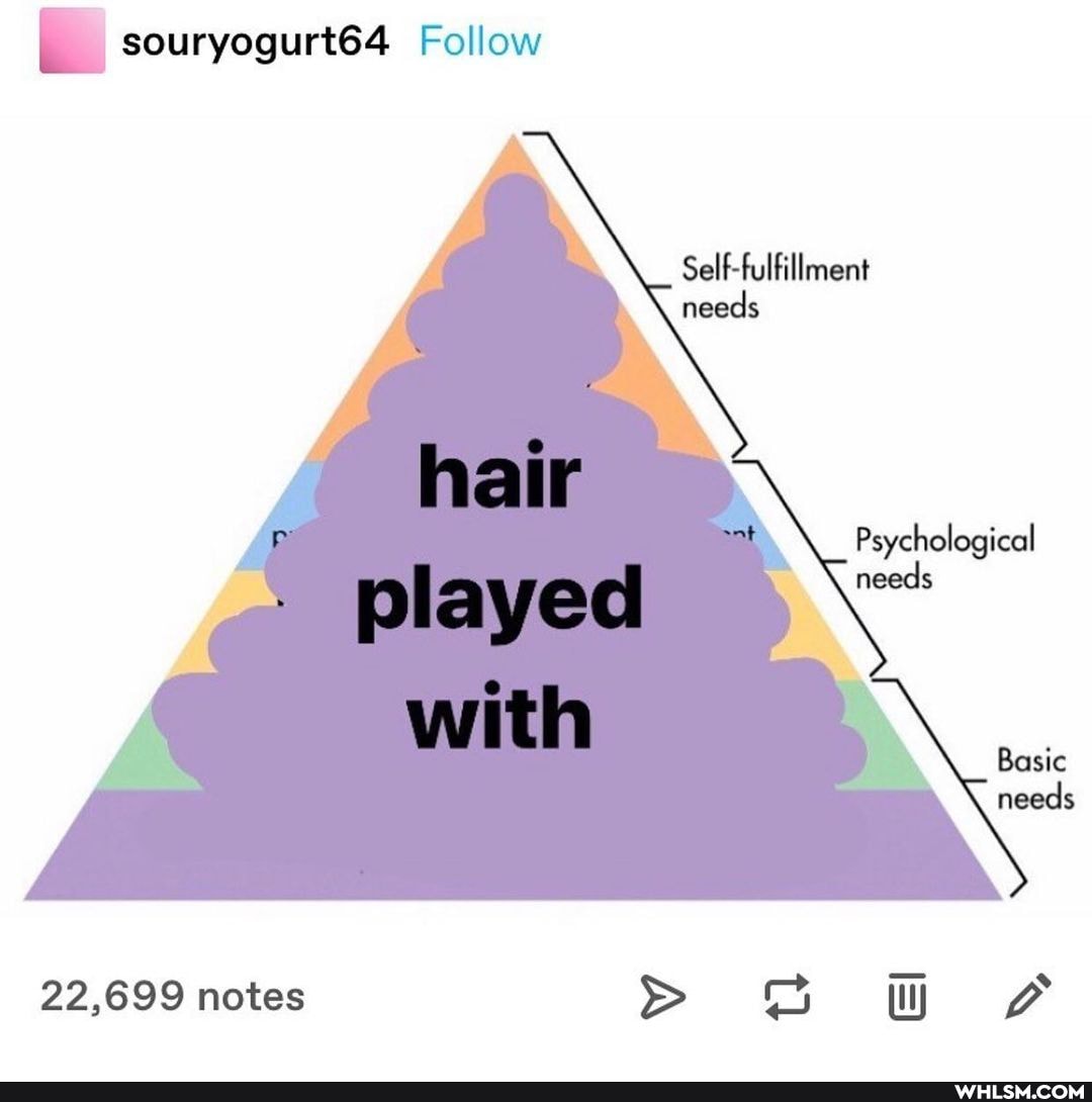 souryogurt64 Follow
Self-fulfillment
needs
hair
played
with
Psychological needs
Basic needs
22,699 notes >
tl