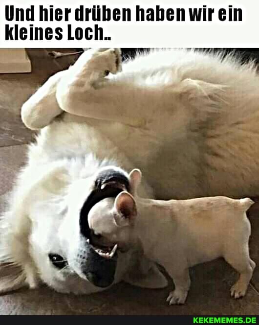 Und hier drüben haben wir ein kleines Loch.