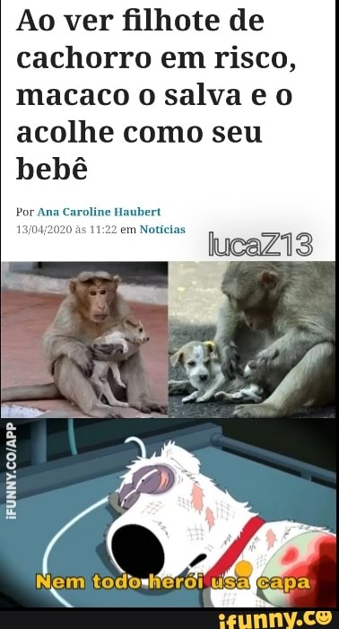 Ao ver filhote de cachorro em risco, macaco o salva e acolhe como seu bebê
Por Ana Caroline Haubert às em Notícias
lucaZ13