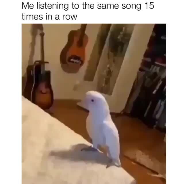 Elon Musk S Son When Someone Takes His Toy In Day Care Ifunny