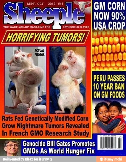 h
Study.
e
€ E Bill Gates Promotes
l ili
GMOs As World Hunger Fix
