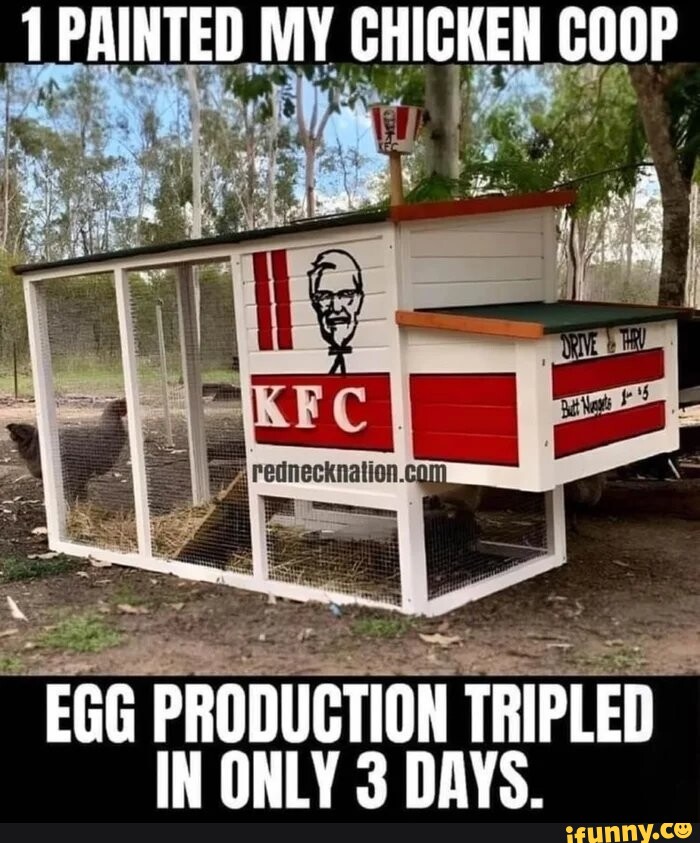 1 PAINTED MY CHICKEN COOP EGG PRODUCTION TRIPLED IN ONLY 3 DAYS. iFunny