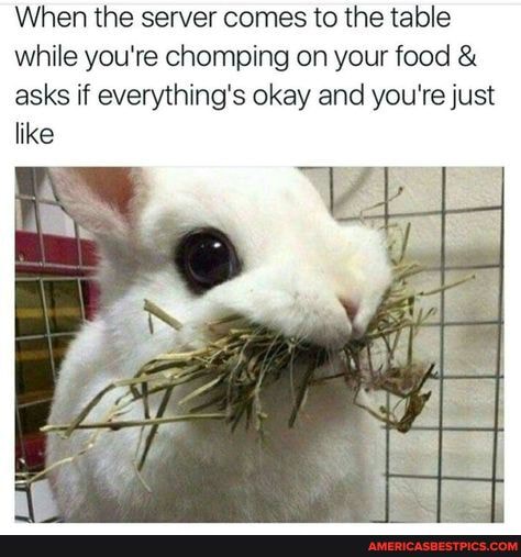 When the server comes to the table while you're chomping on your food & asks if everything's okay and you're just like