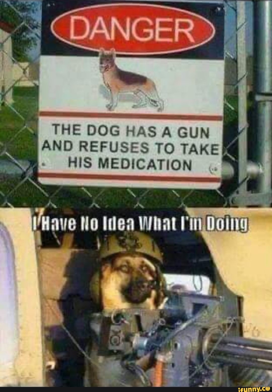 THE DOG HAS A GUN AND REFUSES TO TAKE HIS MEDICATION
Have No Idea What