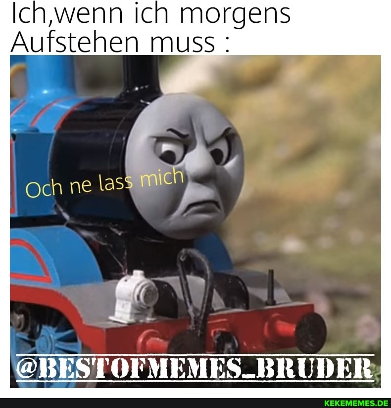Ich,wenn ich morgens
Aufstehen muss
Och
@BESTOFMEMES-_BRUDER