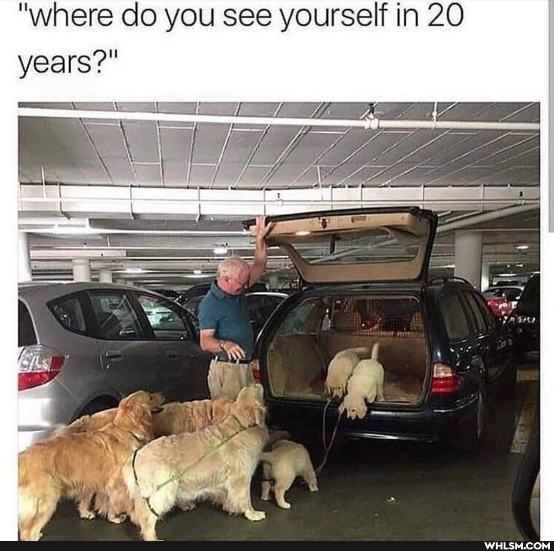 "where do you see yourself in 20 years?"
