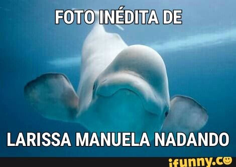 FOTOJINÉDITAIDE
E
LARISSA MANUELA NADANDO