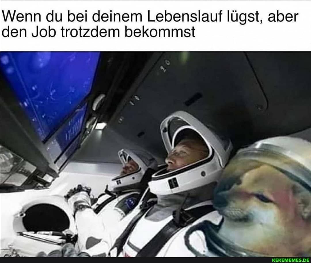 Wenn du bei deinem Lebenslauf lügst, aber den Job trotzdem bekommst