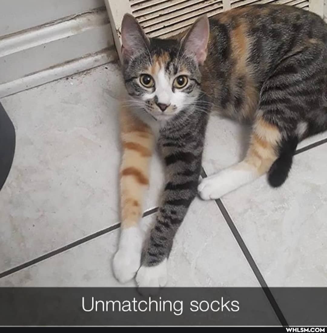 matcning socks
Un