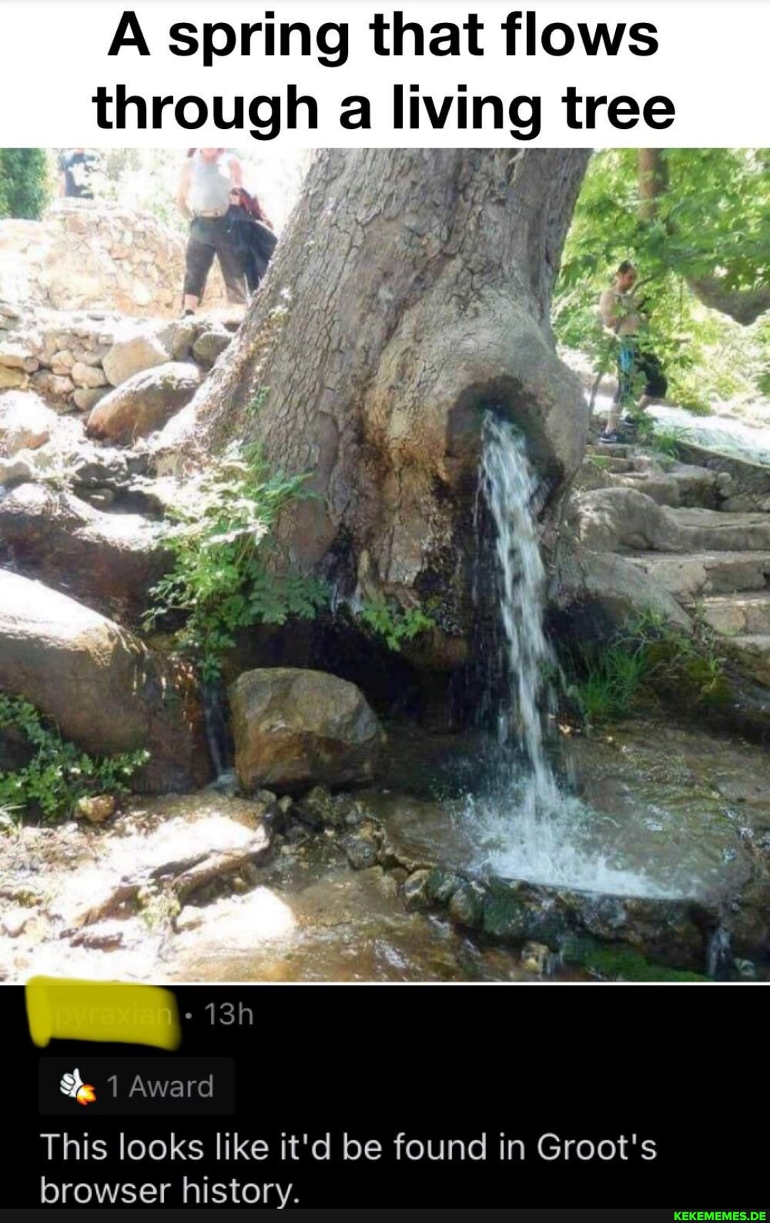 Spring that lows through a living wee
1 Award
This looks like it'd be found in Groot's browser history.