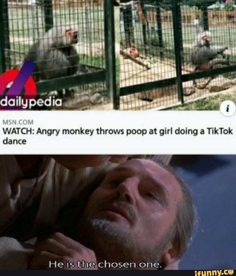 WATCH: Angry monkey throws poop at girl doing a TikTok
dance