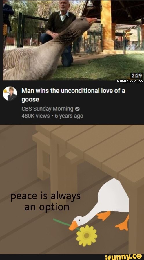 Man wins the unconditional love of a
goose
CBS Sunday Morning O
480K views 6 years ago
peace is always
an option